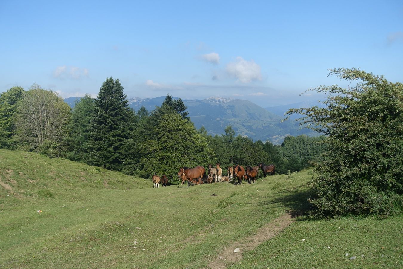 La cima más popular de la sierra de Aloña ofrece una magníficas vistas del Alto Deba y los montes que le rodean