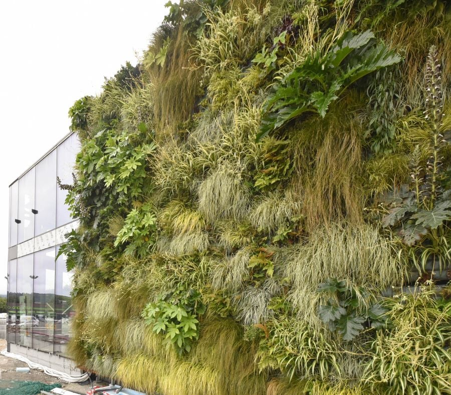 Quince restaurantes y cinco salas de cine premium abrirán en noviembre en la primera fase de ampliación del complejo