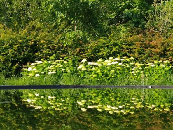 20.000 metros cuadrados de jardines albergan abundantes colecciones botánicas