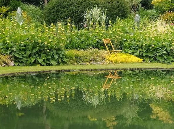 20.000 metros cuadrados de jardines albergan abundantes colecciones botánicas