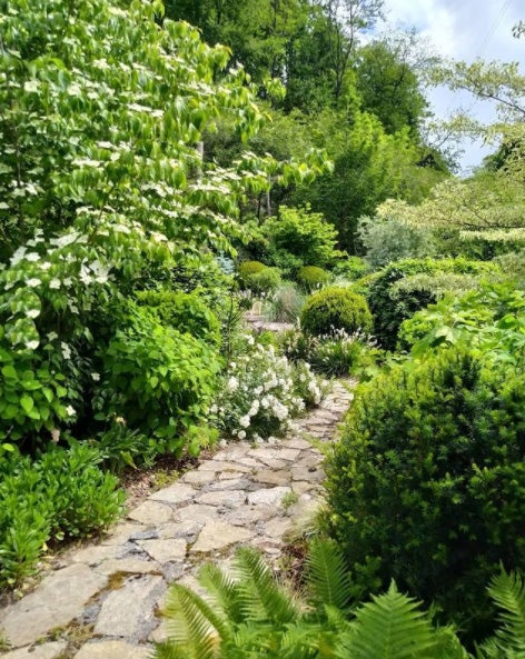 20.000 metros cuadrados de jardines albergan abundantes colecciones botánicas