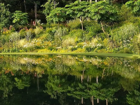 20.000 metros cuadrados de jardines albergan abundantes colecciones botánicas