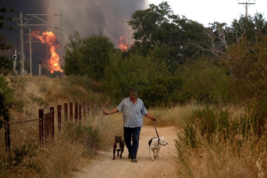 Fotos: Ola de calor en Grecia