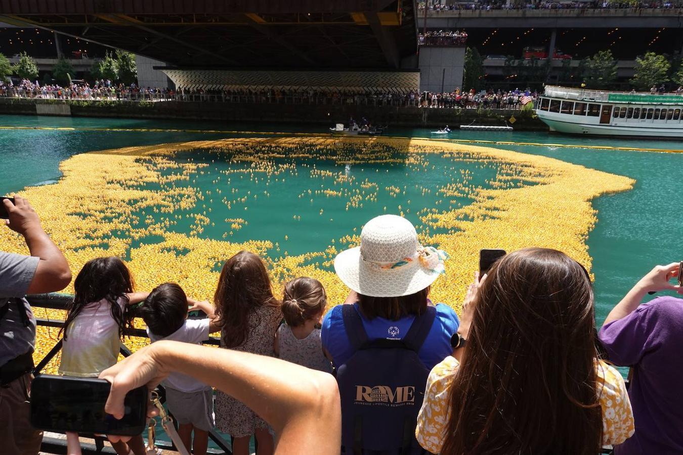 Fotos: Al agua patos: miles de patitos de goma «nadan» en una carrera en el río de Chicago