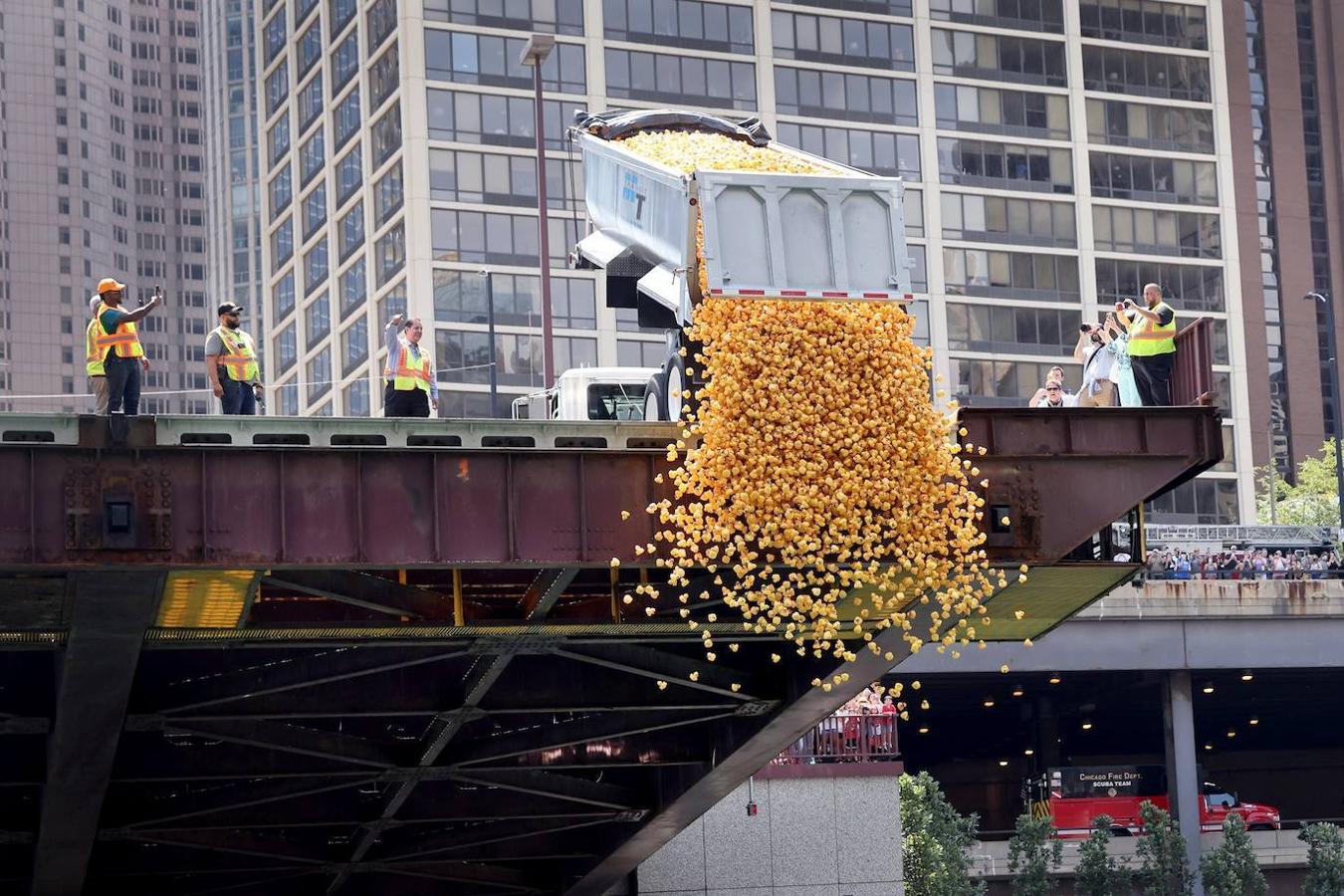Fotos: Al agua patos: miles de patitos de goma «nadan» en una carrera en el río de Chicago