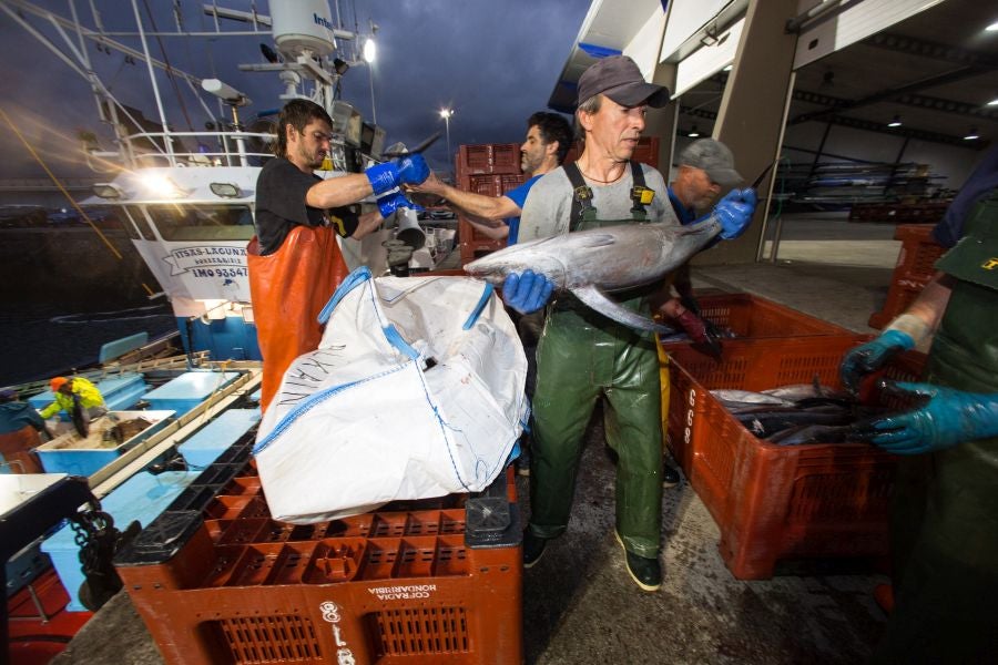 Fotos: Las últimas piezas de la temporada