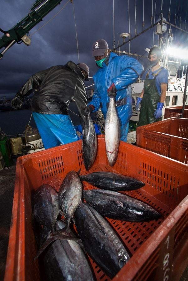 Fotos: Las últimas piezas de la temporada