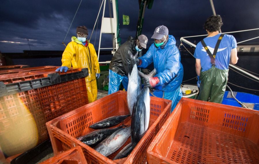 Fotos: Las últimas piezas de la temporada