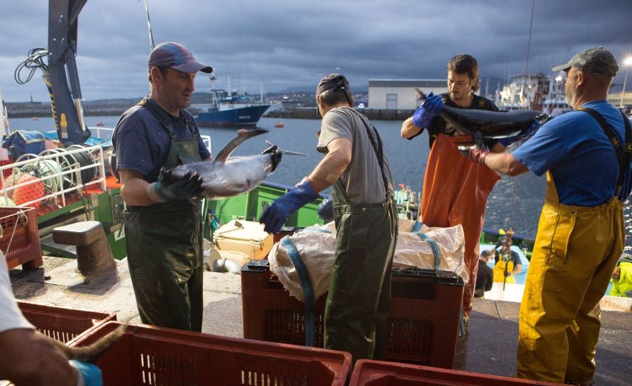 Fotos: Las últimas piezas de la temporada