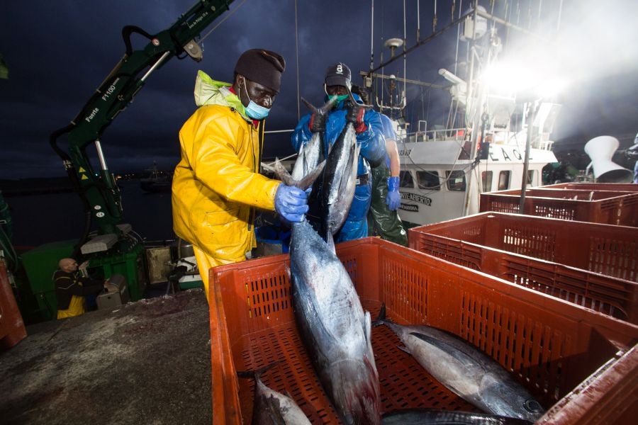 Fotos: Las últimas piezas de la temporada