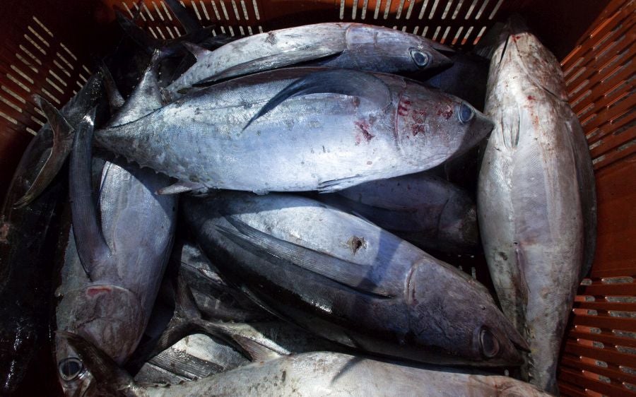 Fotos: Las últimas piezas de la temporada