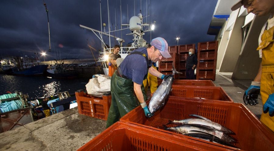 Fotos: Las últimas piezas de la temporada