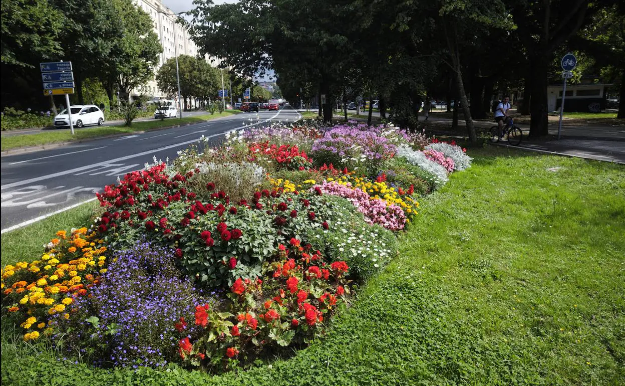 Cerca de  flores y plantas visten de color la ciudad durante el  verano | El Diario Vasco