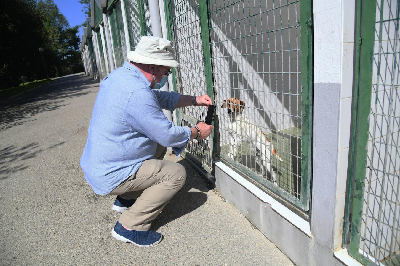 Fotos: «Hace 20 años podíamos llegar a recibir más de 50 perros solo en agosto»