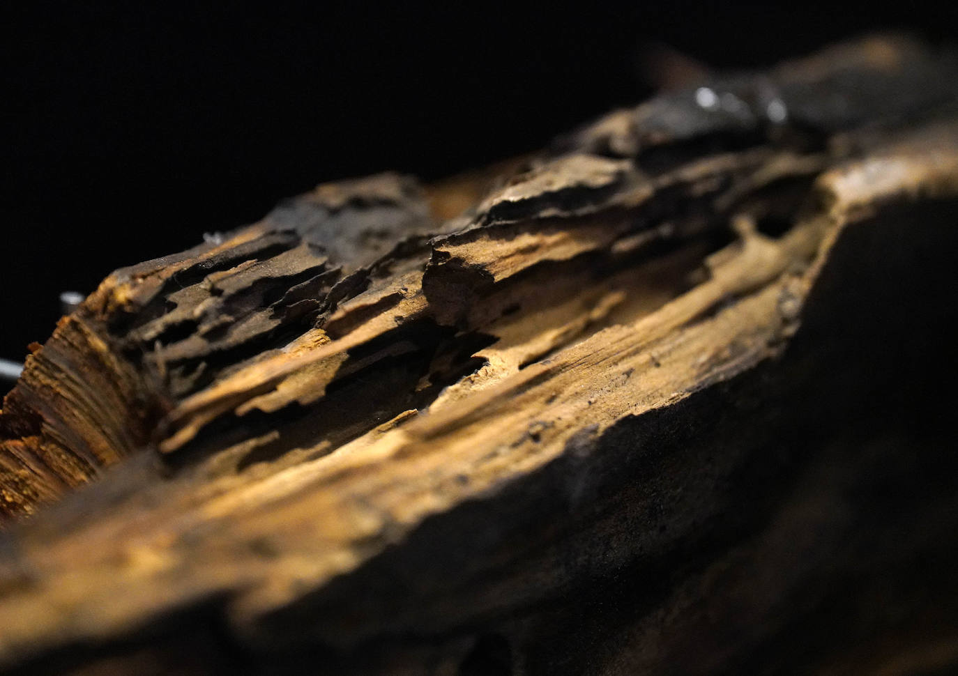 Fotos: &#039;El viaje más largo&#039;, la muestra que narra la travesía de Elcano