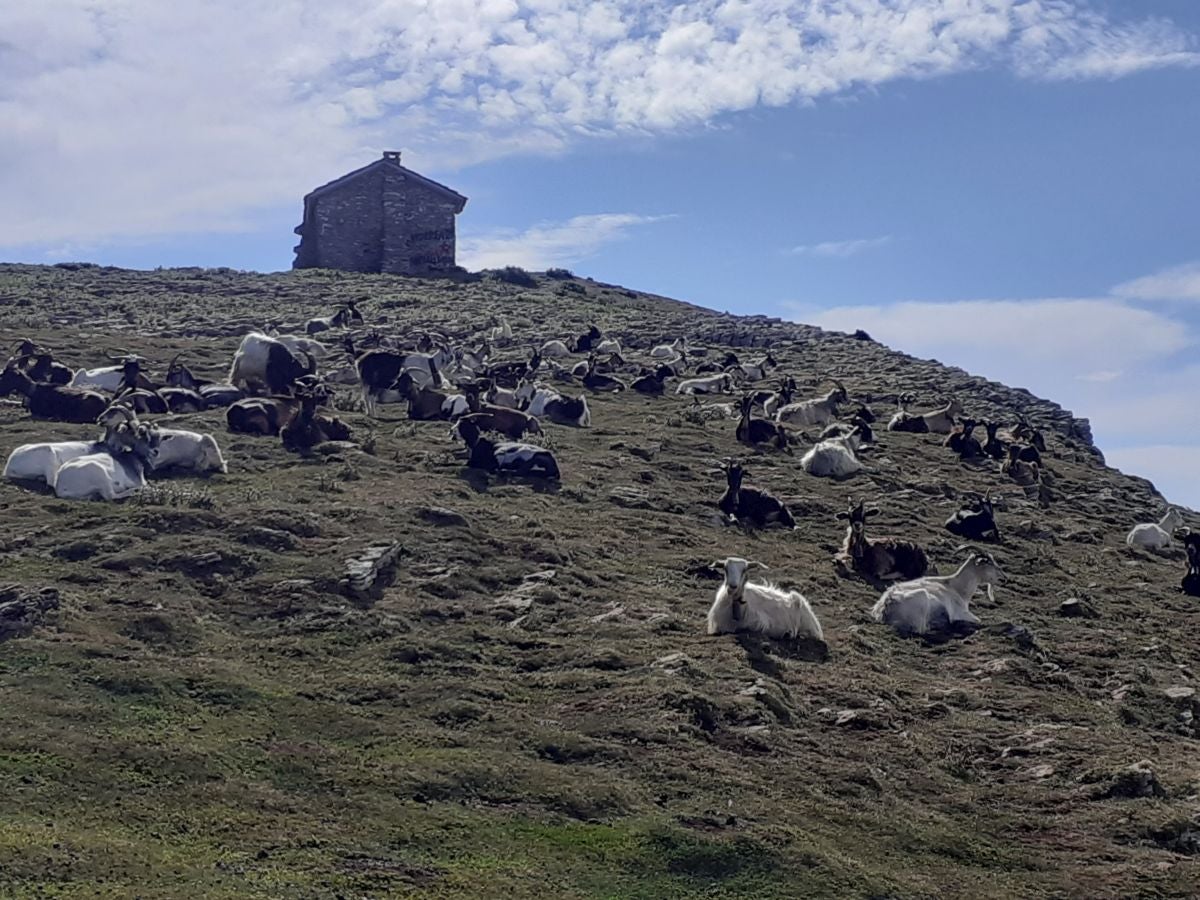 Fotos: Beriain, gran recompensa tras el esfuerzo