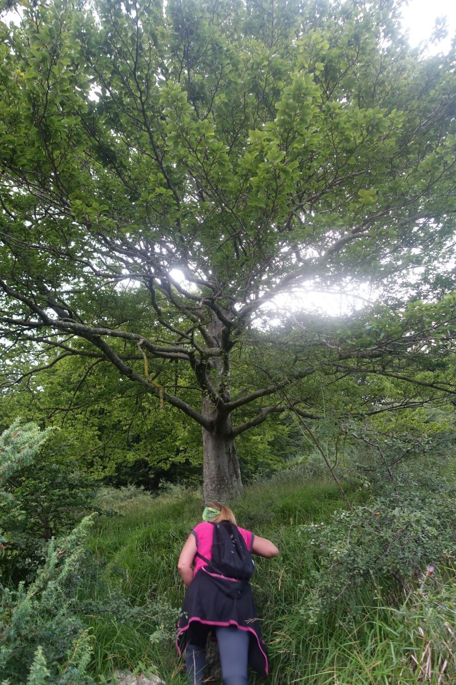 Fotos: Beriain, gran recompensa tras el esfuerzo