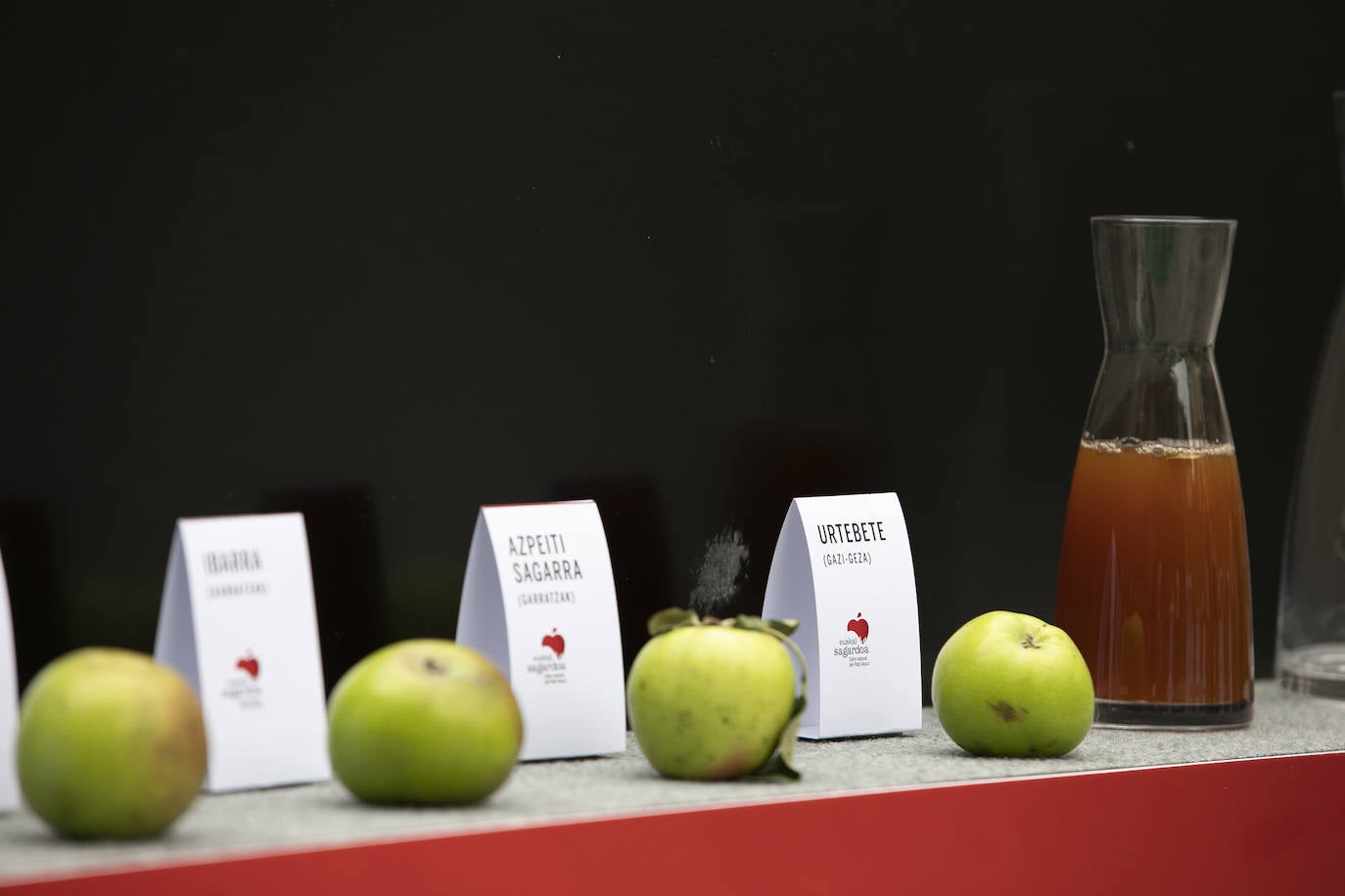 Fotos: Cosecha «abundante» y «de gran calidad» para hacer sidra