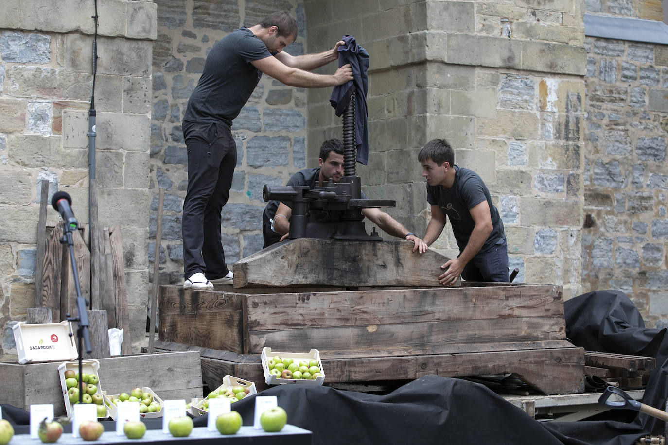 Fotos: Cosecha «abundante» y «de gran calidad» para hacer sidra
