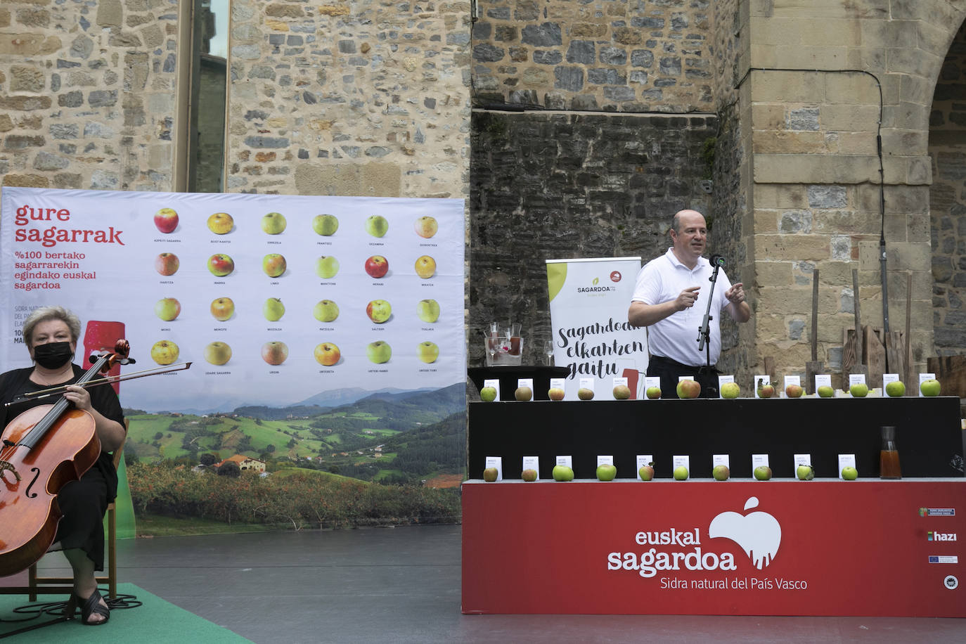 Fotos: Cosecha «abundante» y «de gran calidad» para hacer sidra