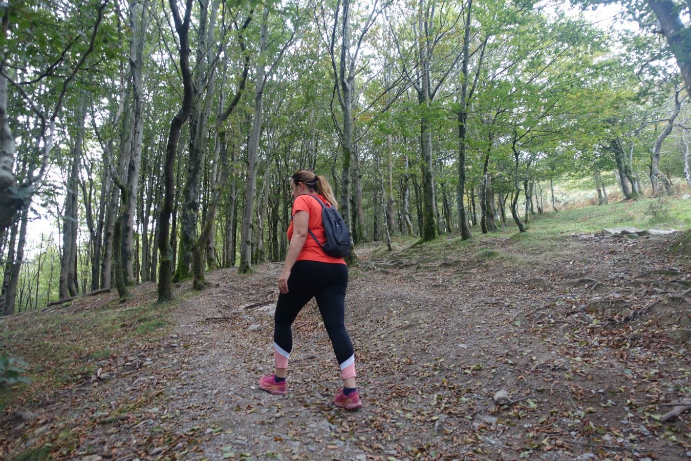 Erroilbide (832 m.), Txurrumurru (823 m.) y Irumugarrieta (806 m.) forman parte de la gran mole que vigila cualquier movimientoen Orasoaldea
