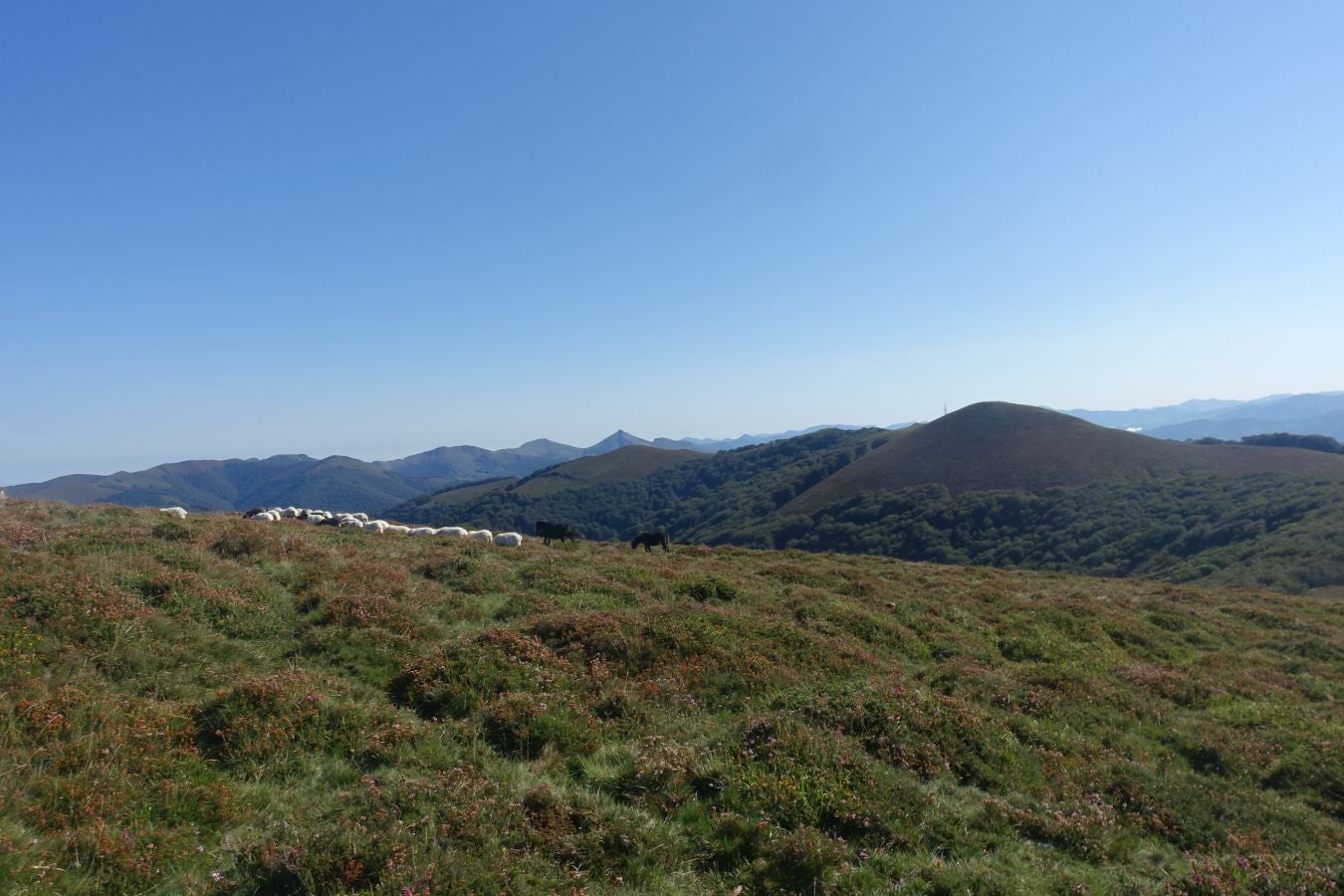 Fotos: Erakurri, tras los pasos de Basojaun