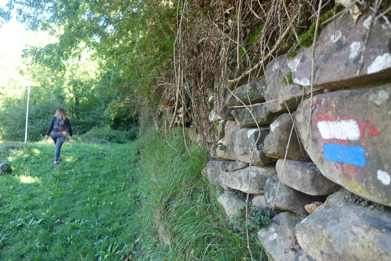 Fotos: Erakurri, tras los pasos de Basojaun