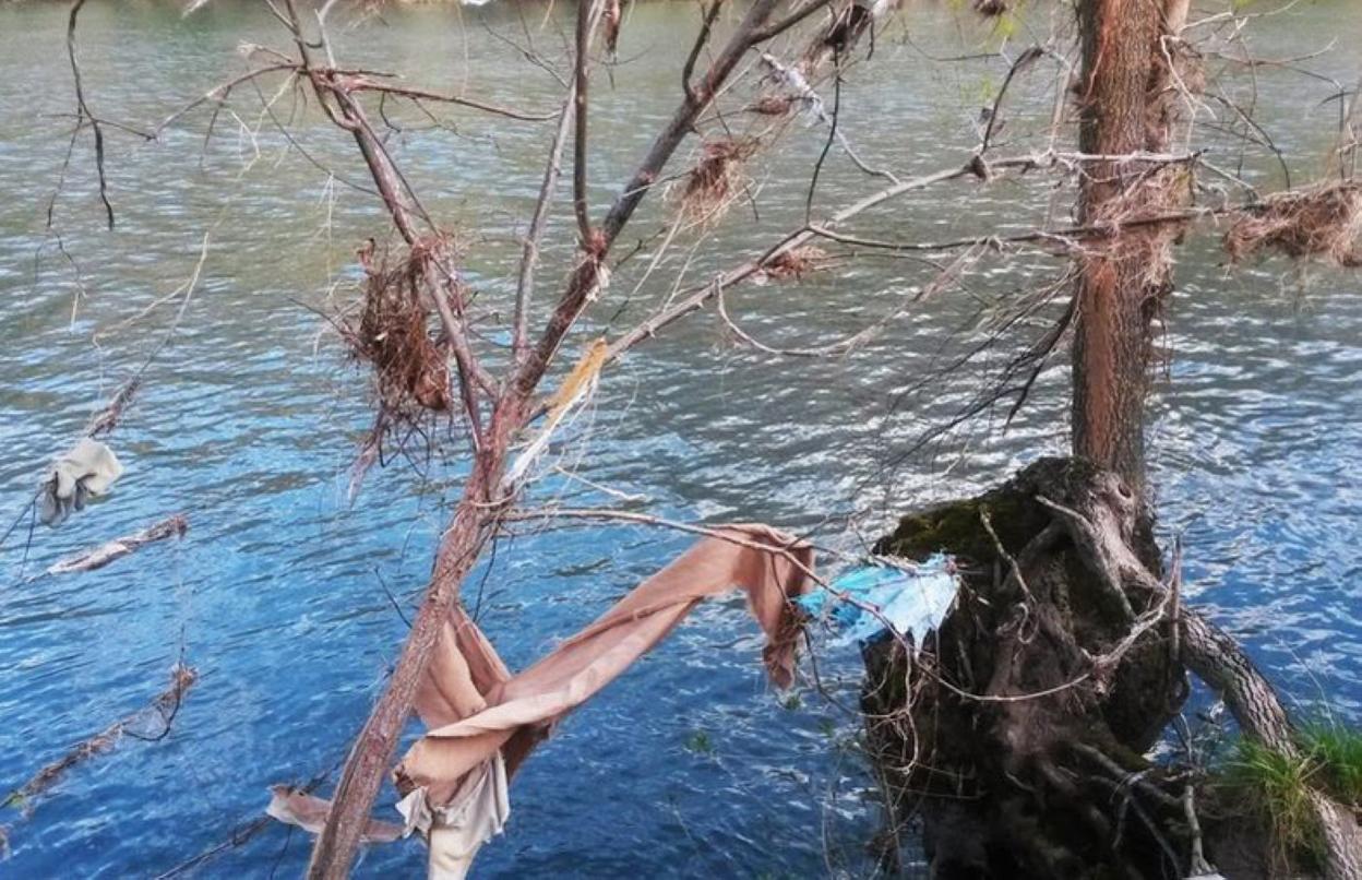 Restos de plásticos y ropa en un árbol junto al río Oria. 