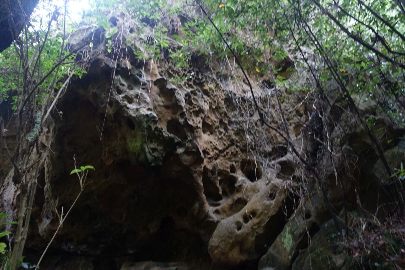 Fotos del Monte Ulia y la la ruta hasta Pasaia San Pedro