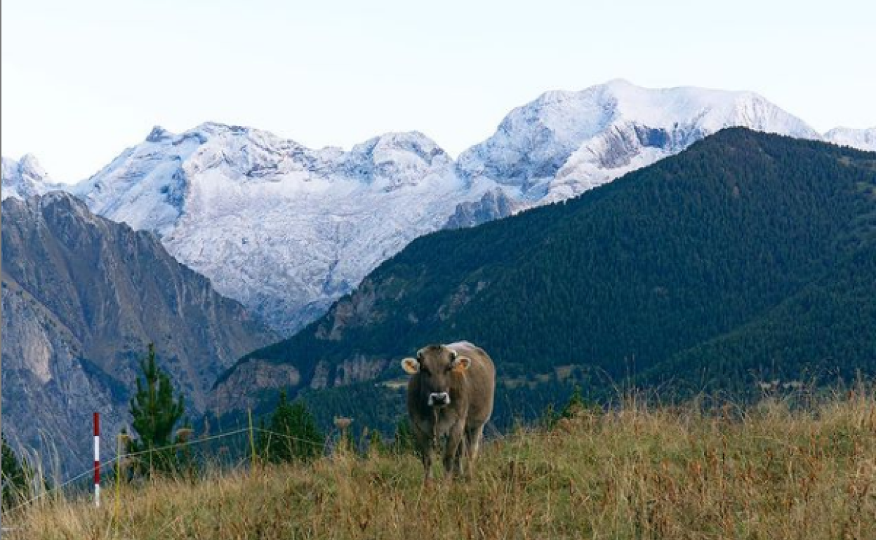 Imagen de las cimas del valle de Benasque cubiertas por la nieve 