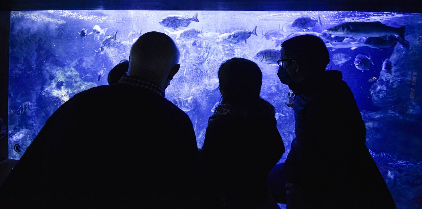 Fotos: Turistas llenan las calles y la hostelería de Gipuzkoa