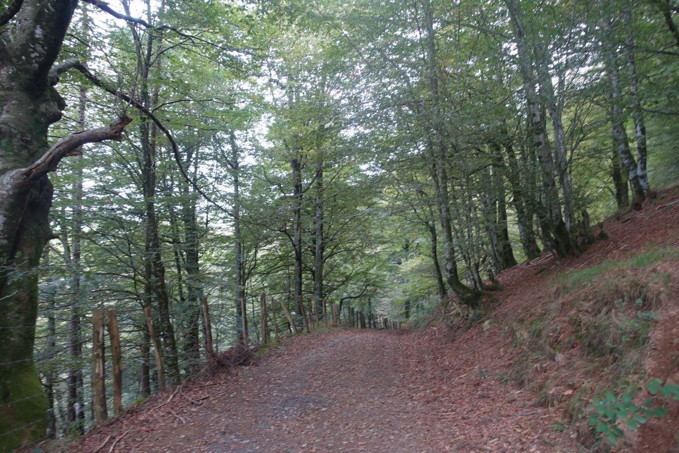 Fotos: Urkieta, sobre un mar de nubes