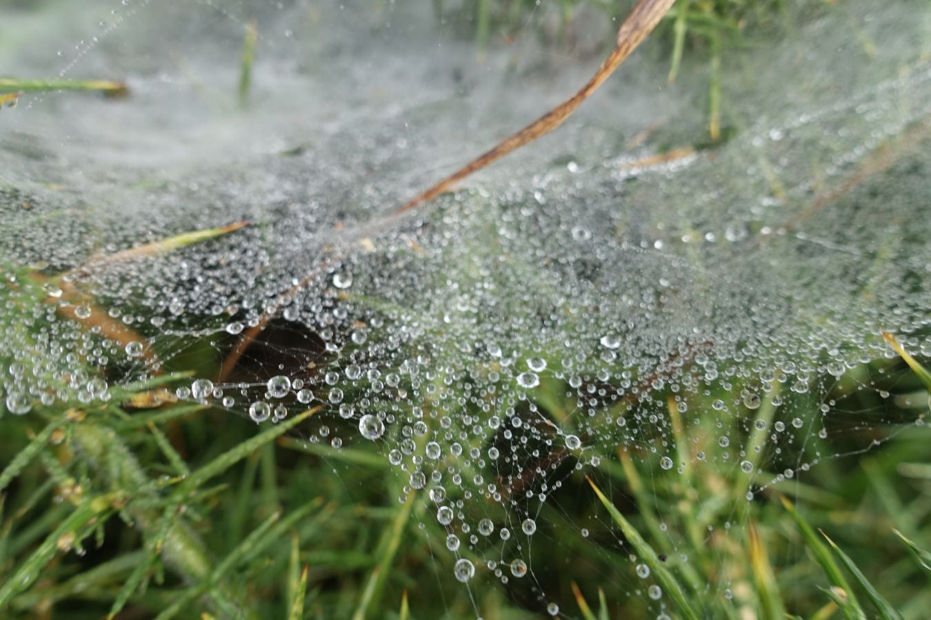 Fotos: Urkieta, sobre un mar de nubes
