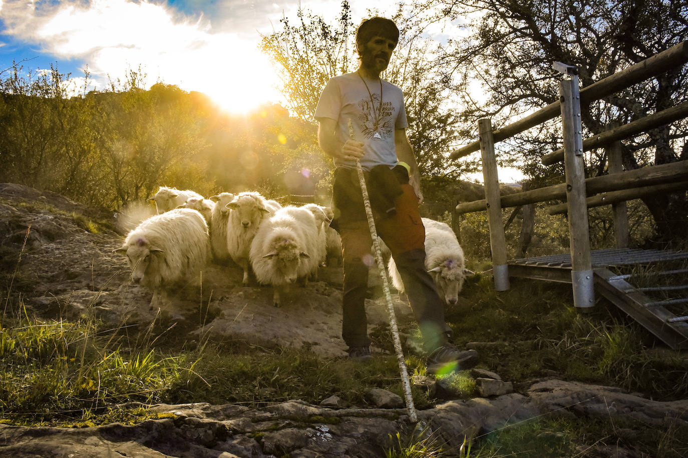 Fotos: Al ritmo del calendario de las ovejas