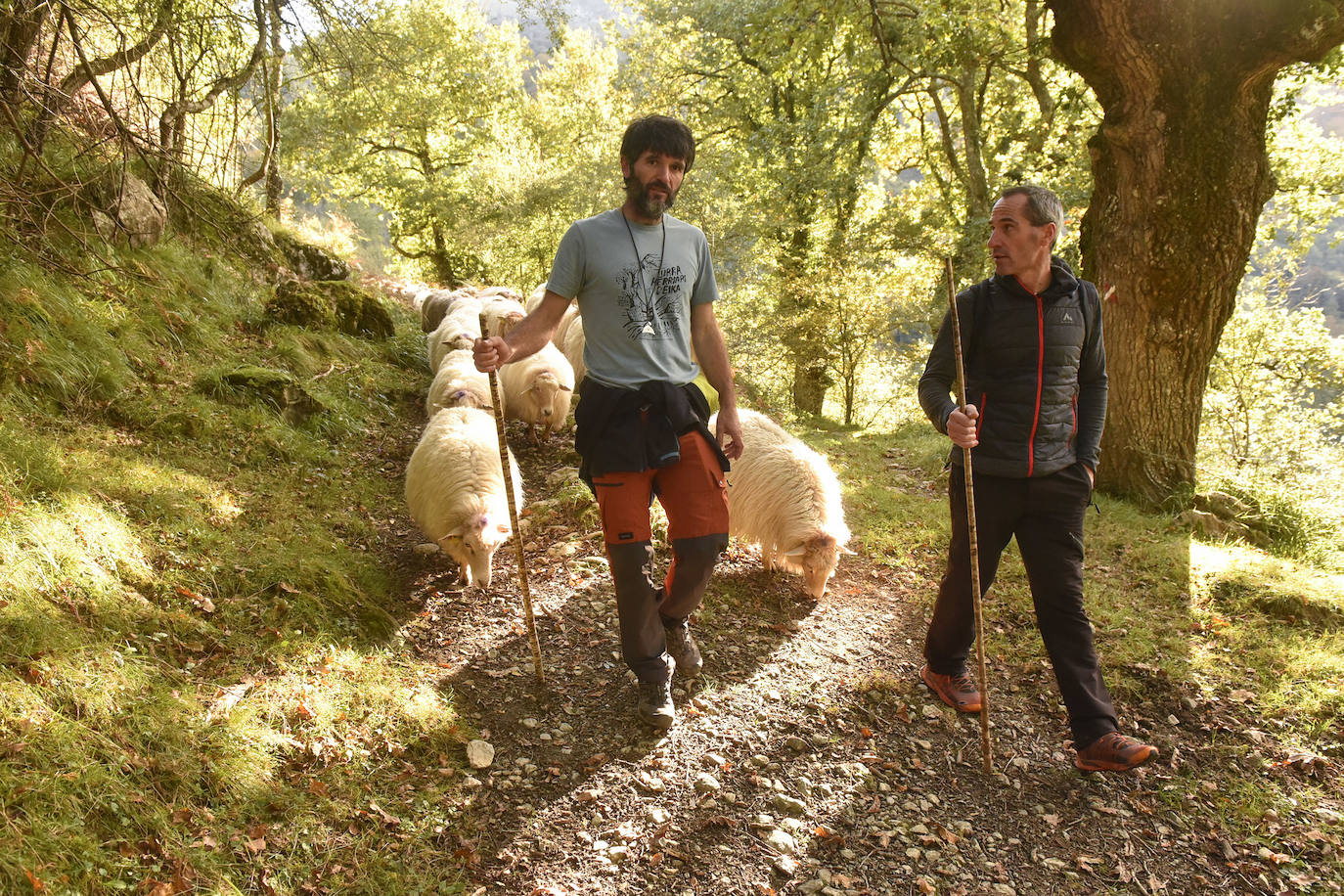 Fotos: Al ritmo del calendario de las ovejas