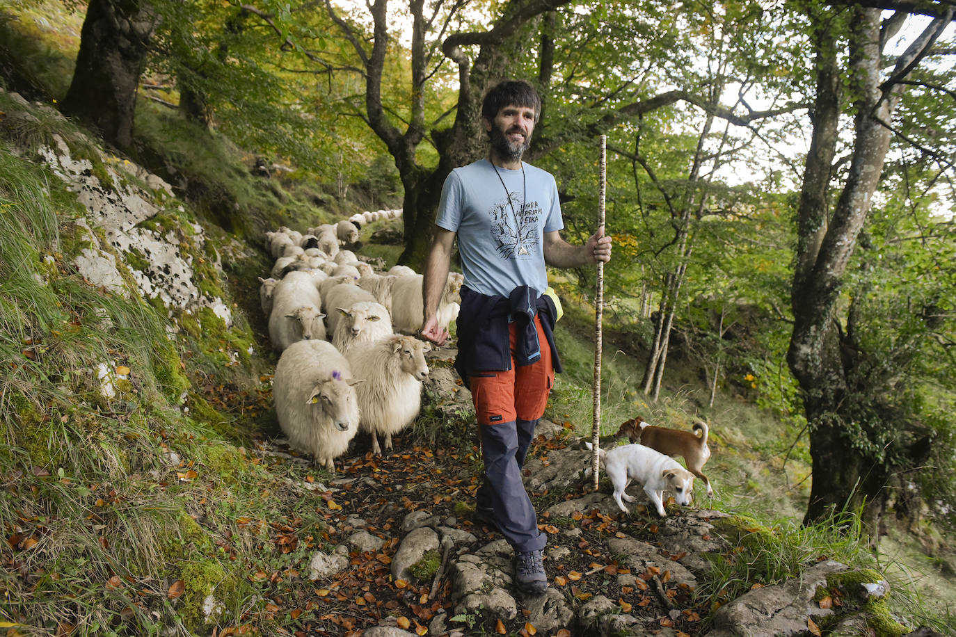 Fotos: Al ritmo del calendario de las ovejas