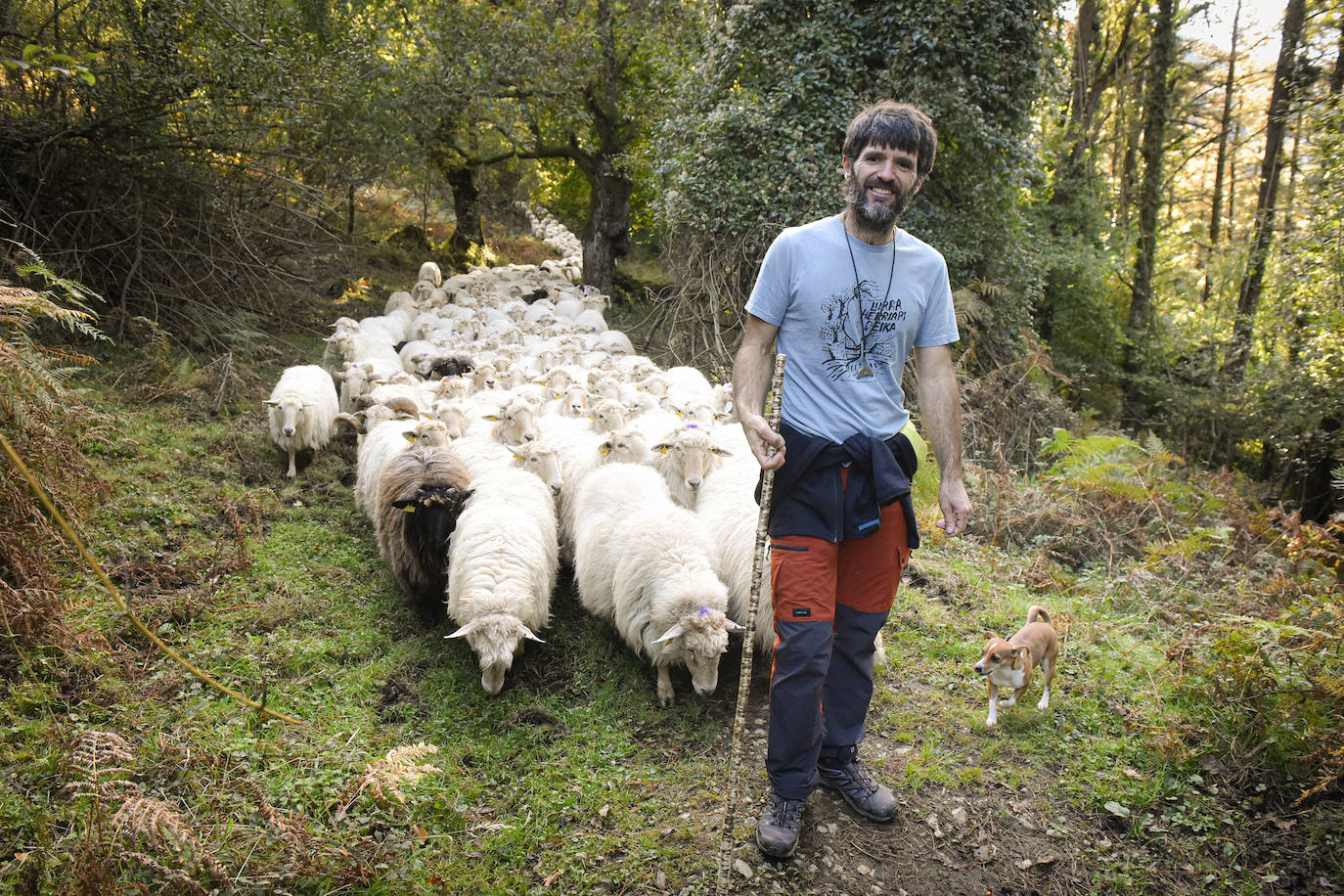 Fotos: Al ritmo del calendario de las ovejas