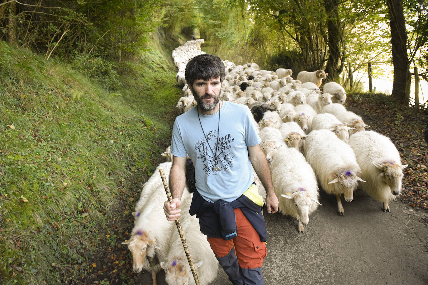 Fotos: Al ritmo del calendario de las ovejas