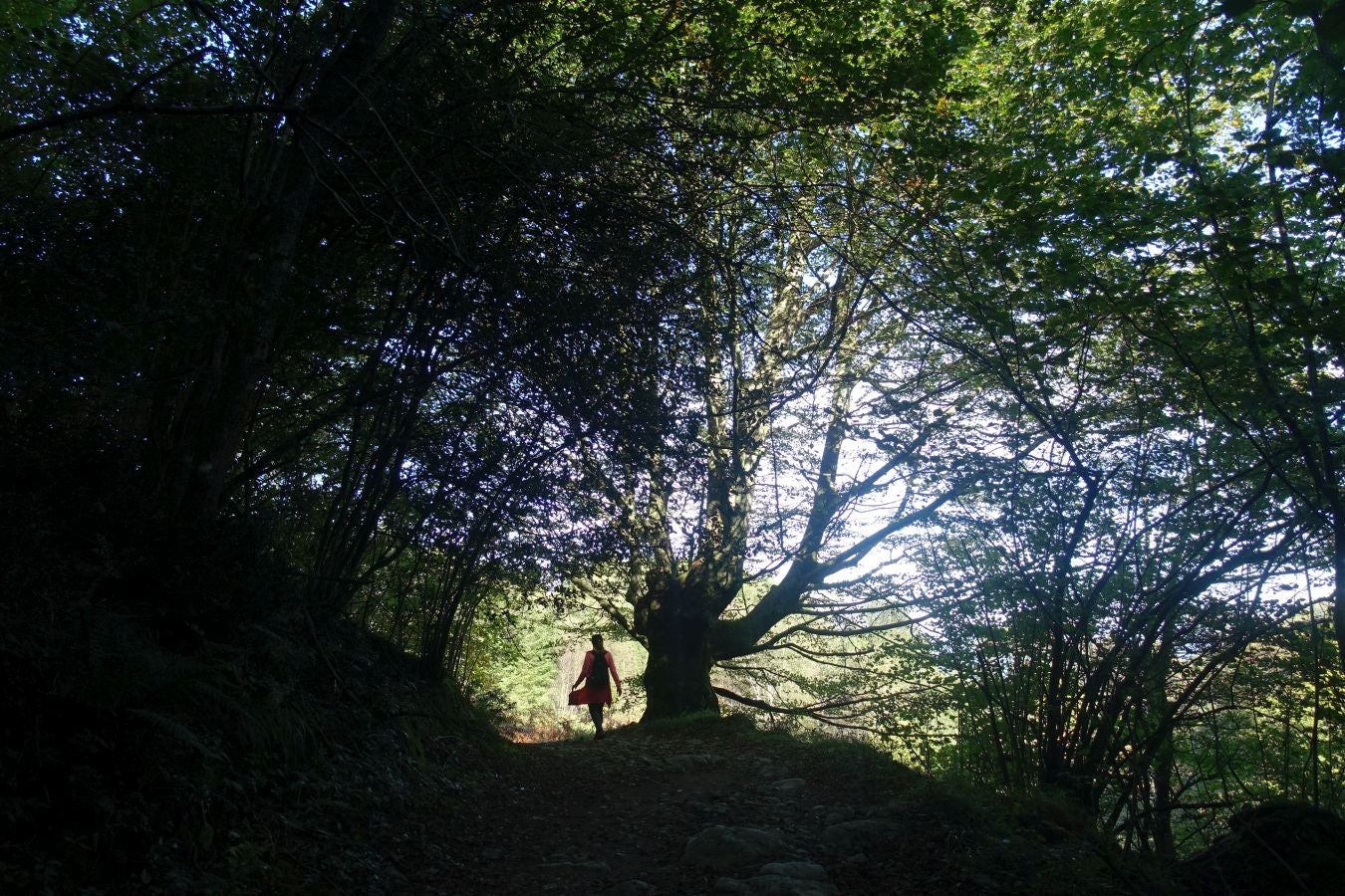 Fotos: Loatzo, un bonito rincón entre gigantes