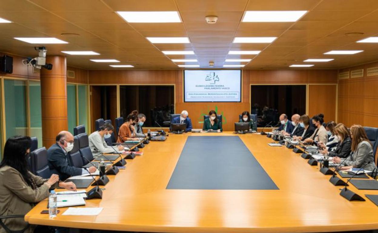 La consejera Beatriz Artolazabal interviene en la Comisión de Derechos Humanos, Igualdad y Justicia del Parlamento Vasco. 