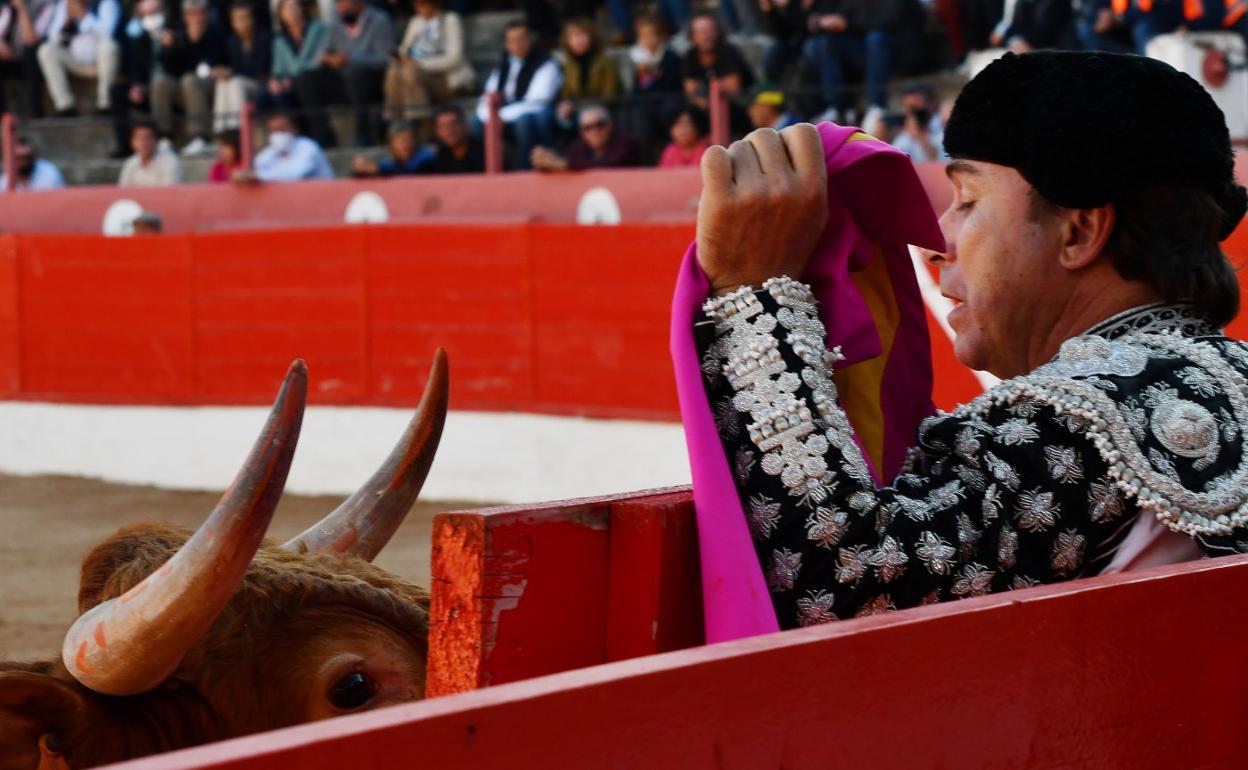 Desafiante mirada del novillo de Miguel Reta en el burladero de la segunda suerte. 