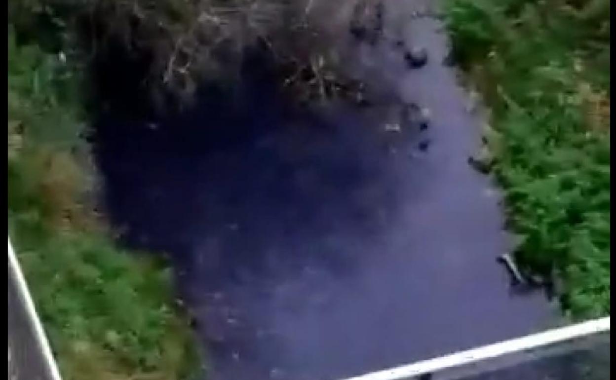 El arroyo Amezketa, teñido de azul. 