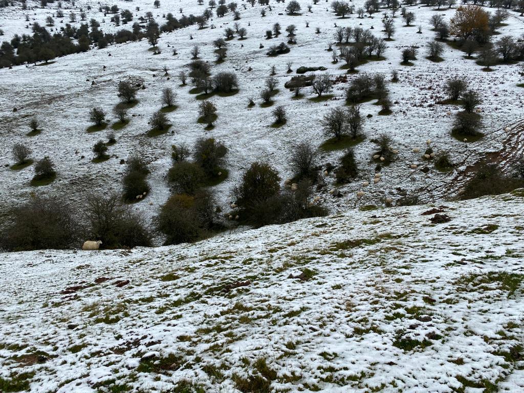 La nieve comienza a ganar presencia por Aralar.