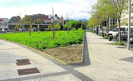 Pasarela en la que está previsto desarrollar el proyecto.