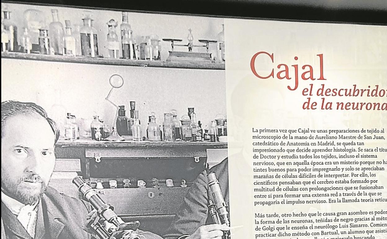 Un aspecto de la exposición sobre Ramón y Cajal en Madrid. 