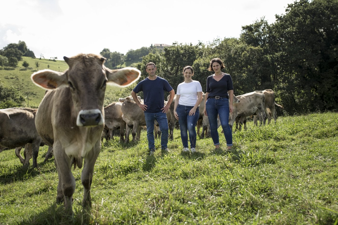 Los hermanos Goenaga posan con un grupo de novillos de sucaserío Pokopandegi. 