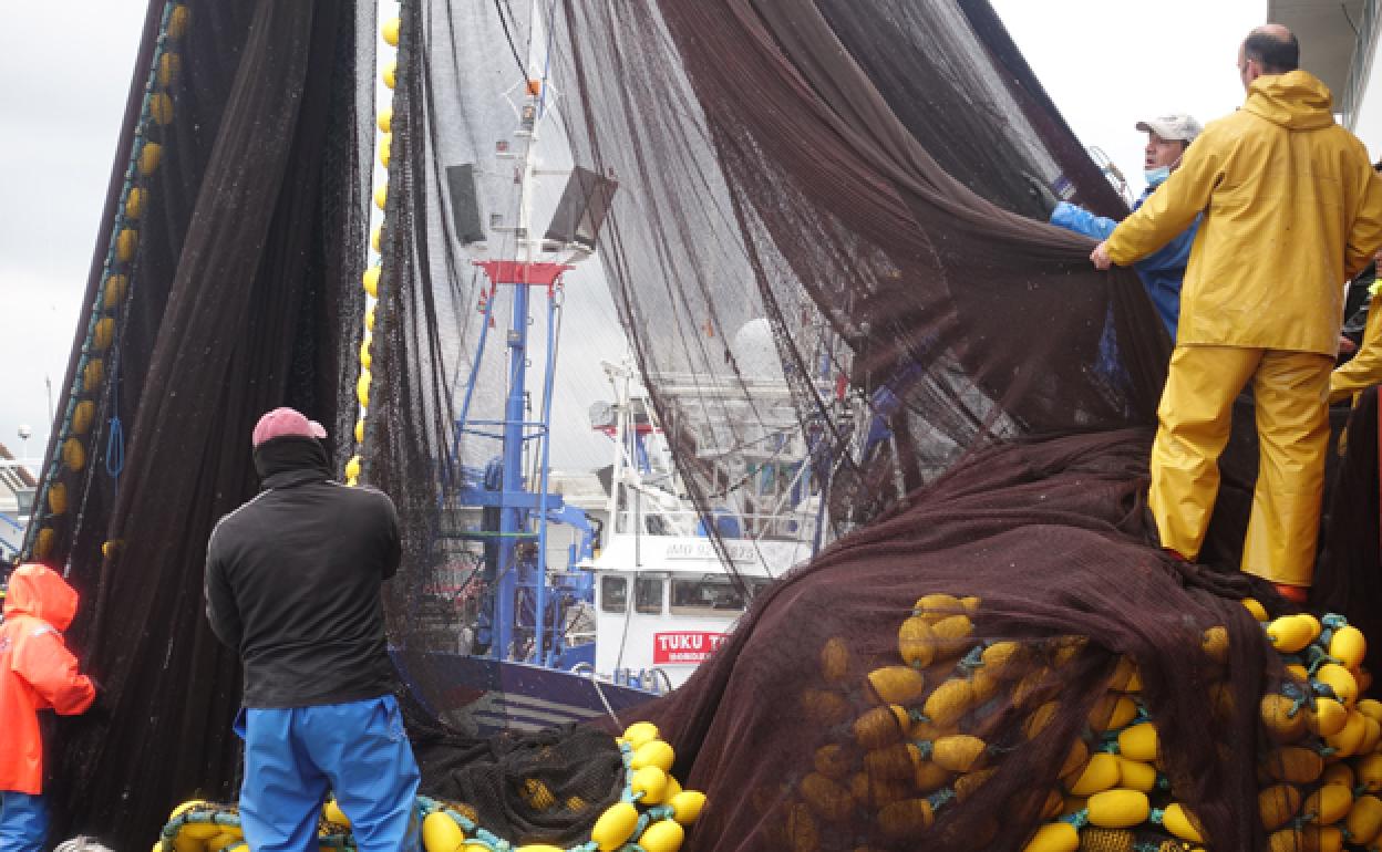 Consulta las bases del concurso ¿sabes de pesca de bajura?