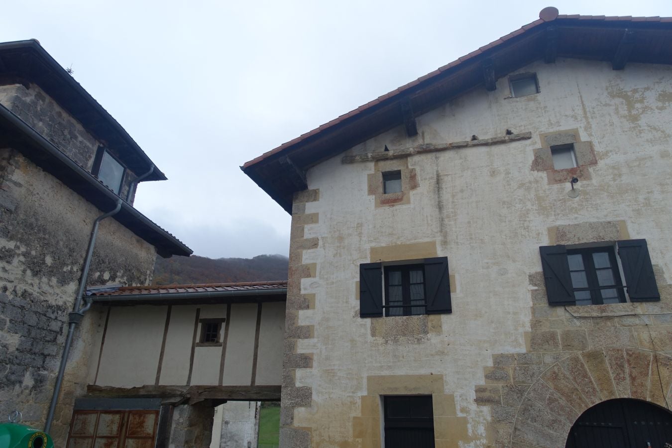 Fotos: Larrazpil, señor de la niebla de Aralar