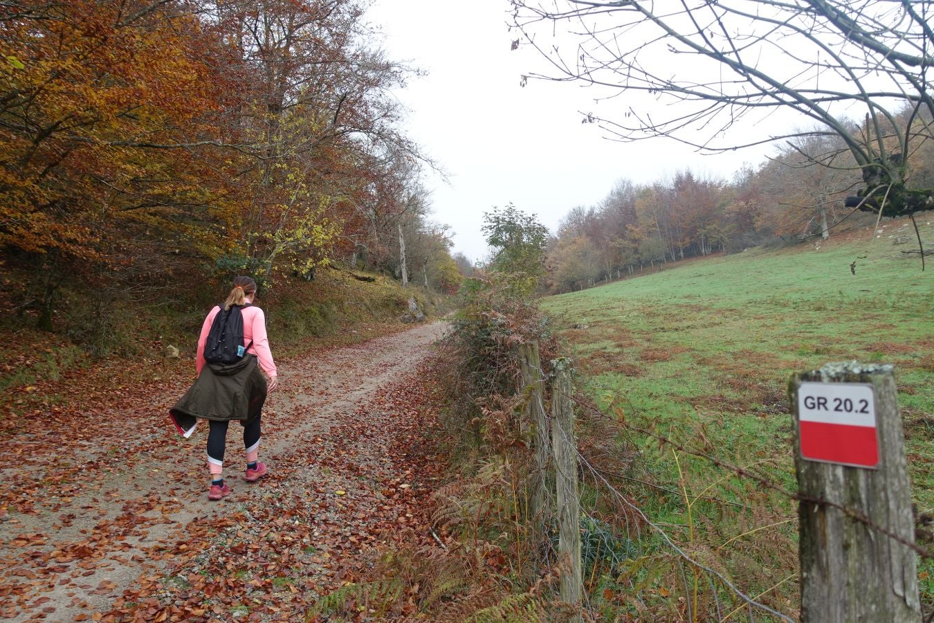 Fotos: Larrazpil, señor de la niebla de Aralar