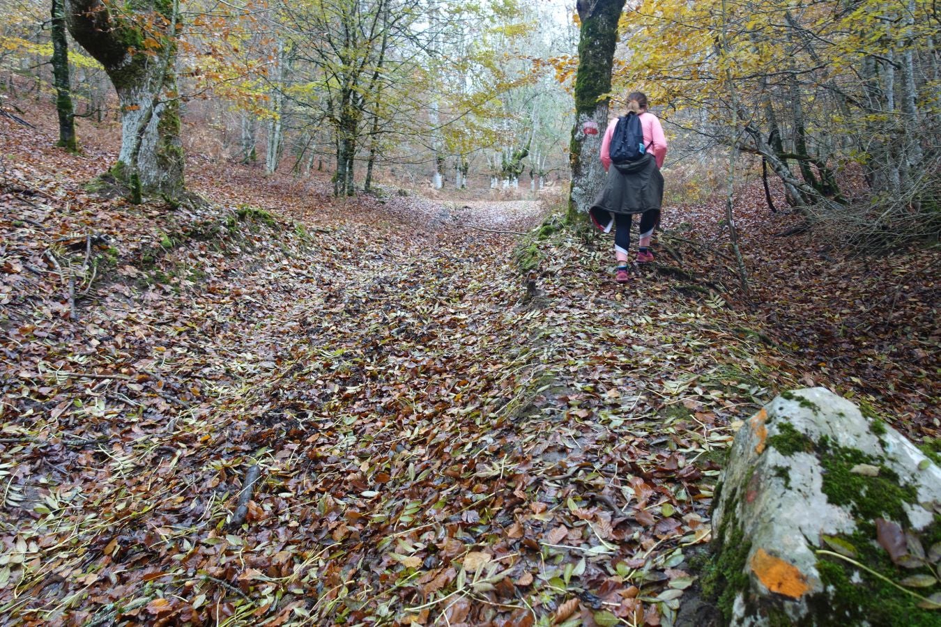 Fotos: Larrazpil, señor de la niebla de Aralar